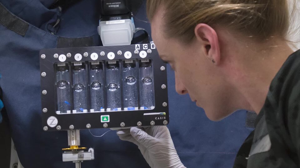 Kate Rubins- Science on the Space Station.webm