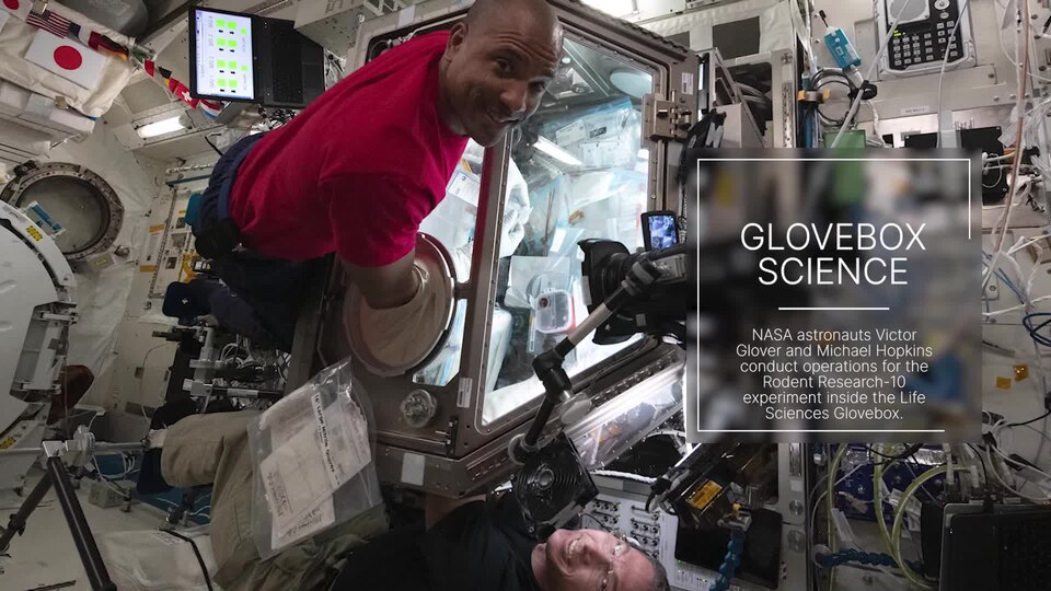 Best Space Station Science Pictures of 2021.webm